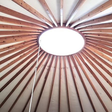 Camping Le Pre Saint-Andre Souvignargues Buitenkant foto