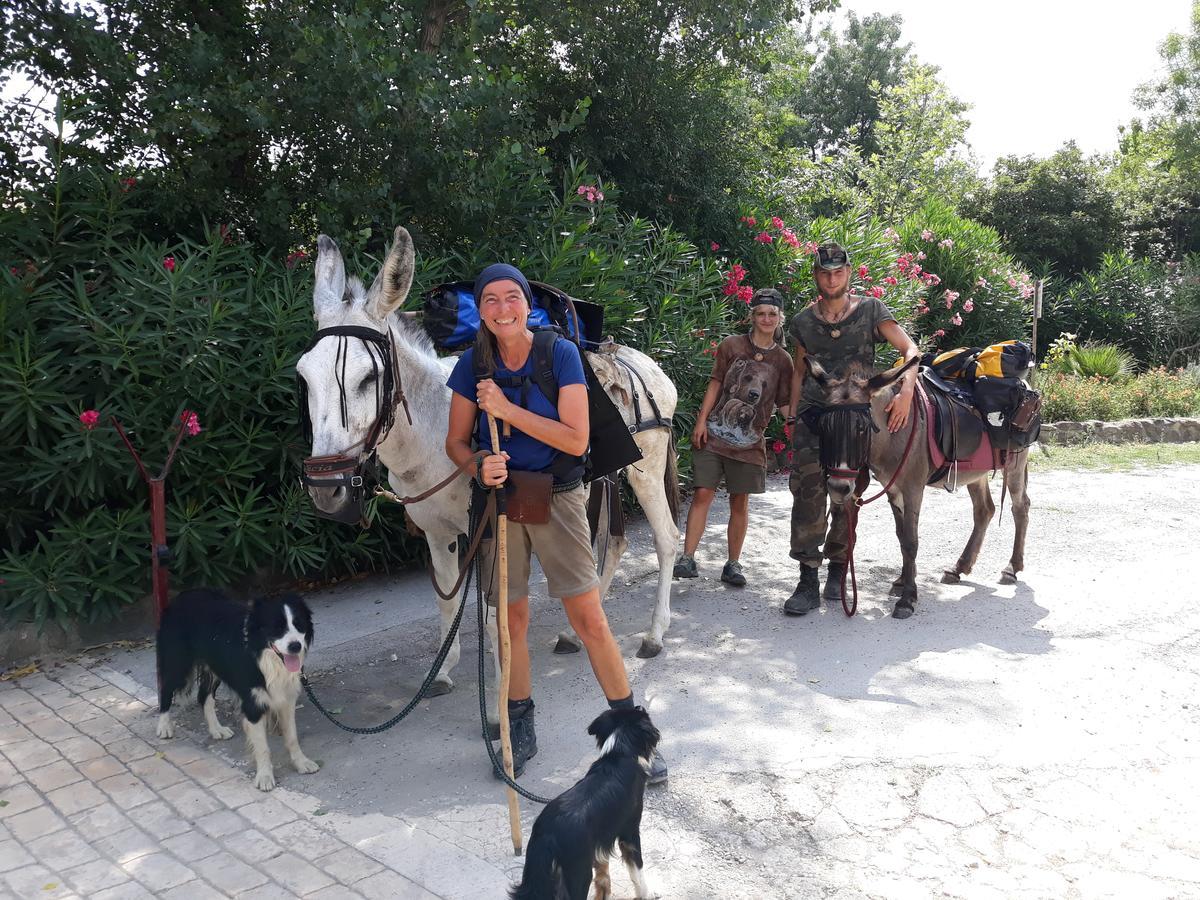 Camping Le Pre Saint-Andre Souvignargues Buitenkant foto